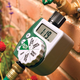 Programmable Hose Faucet Timer, $20
